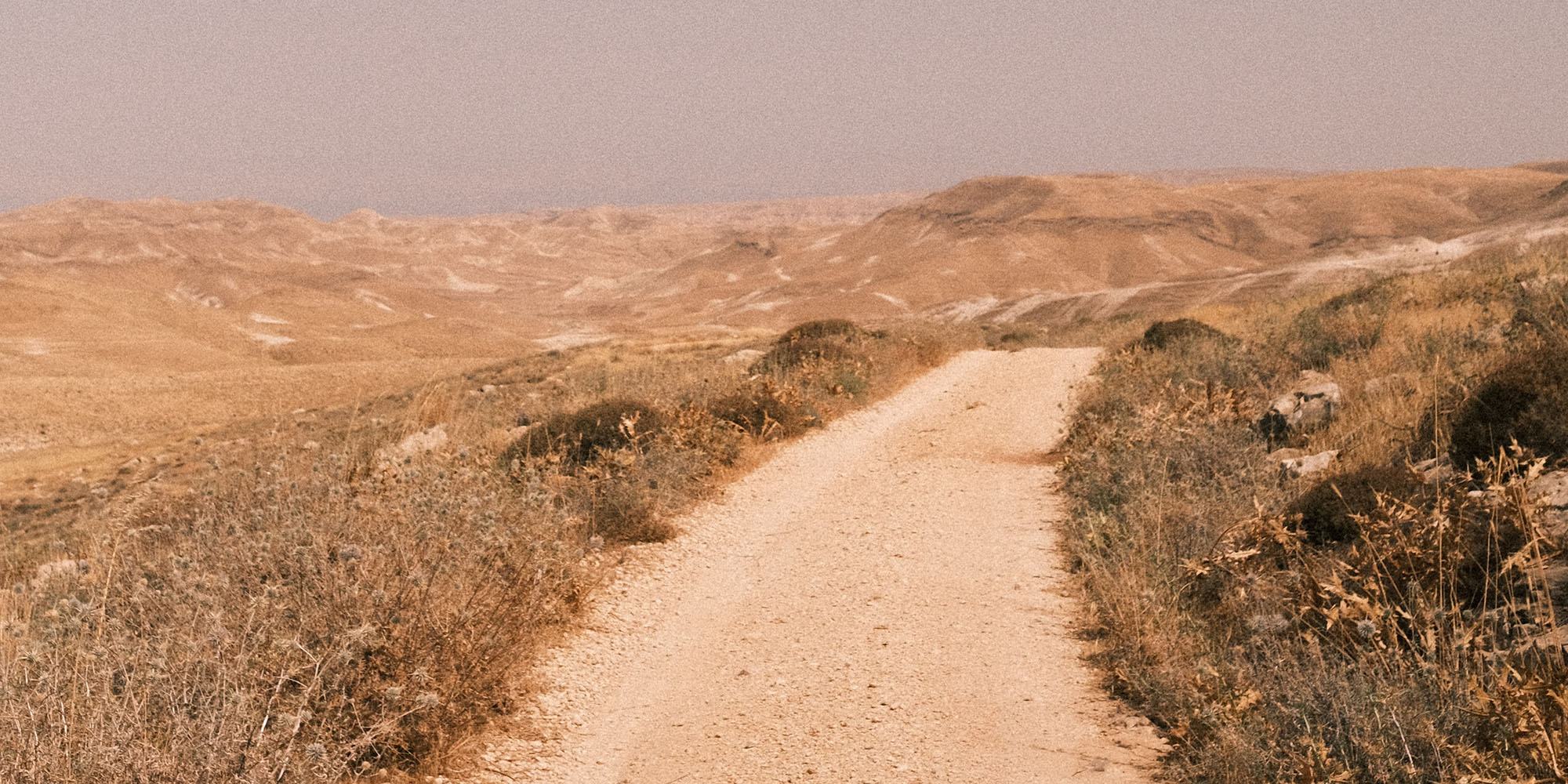 Journeys of Faith Devo Image