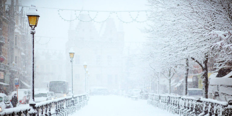 Advent 2021 Day 8 Devo Image