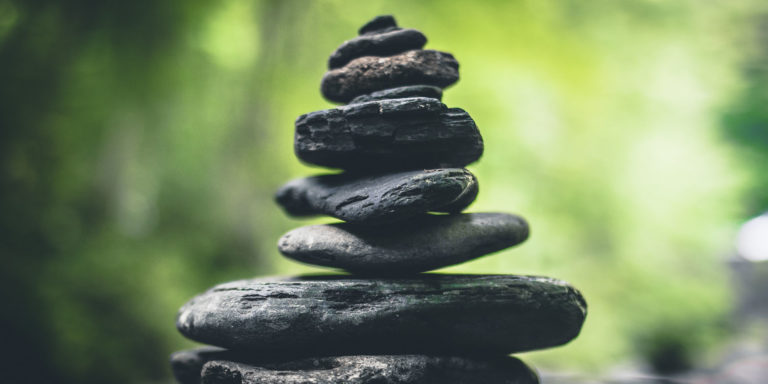 Looking Back and Pressing In Devo Image