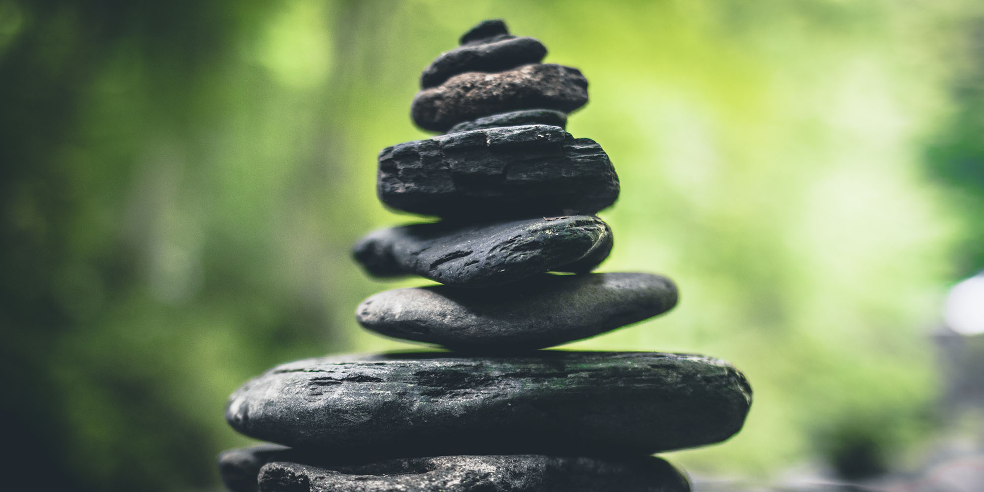 Looking Back and Pressing In Devo Image