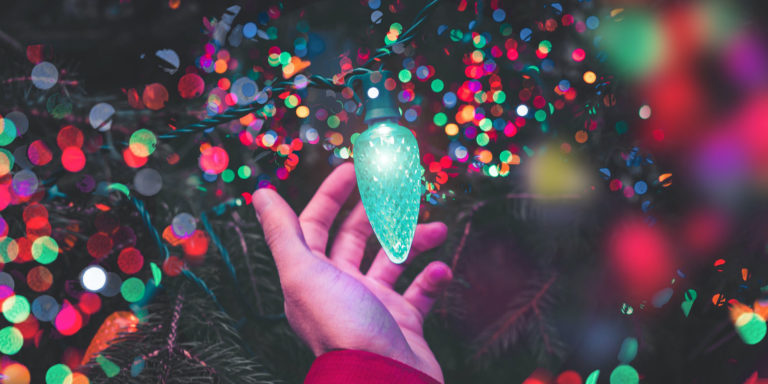 The One and Only Devo Image