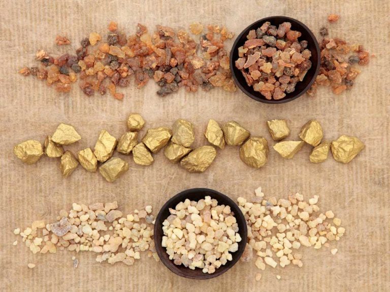 Día 12: Ilumina el Regalo: Rey. Sacerdote. Salvador.