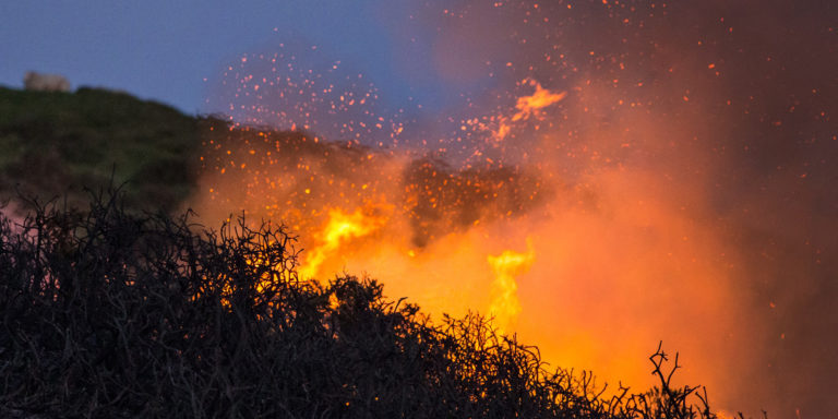 A Sight that Must Be Seen Up Close Devo Image