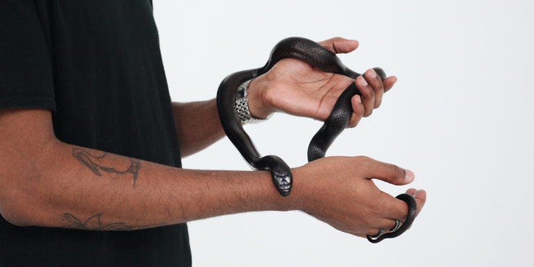 What is Your Hand Devo Image