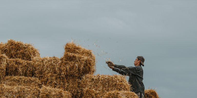 Excuse me Devo Image