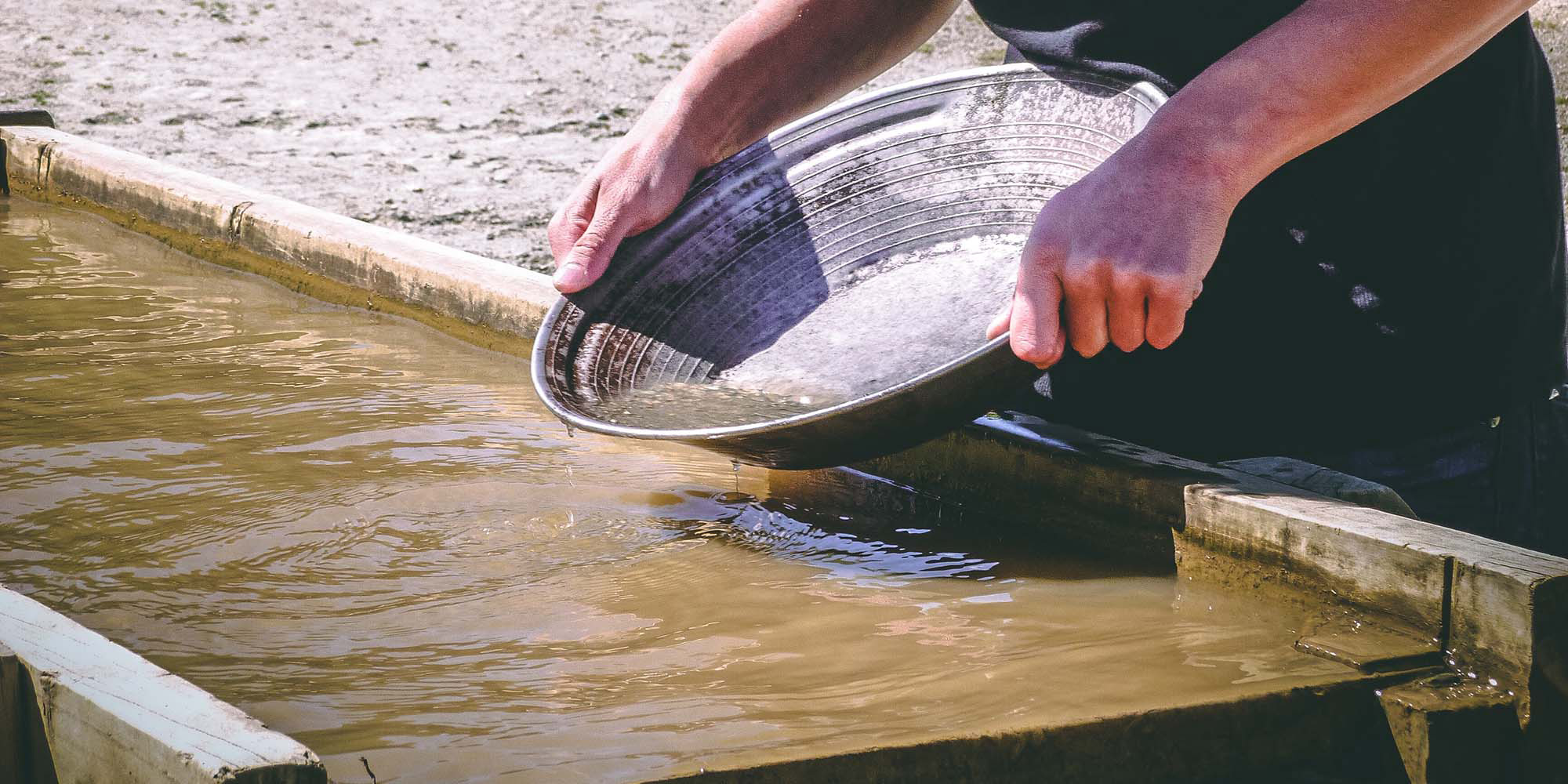 What's His Will Devo Image