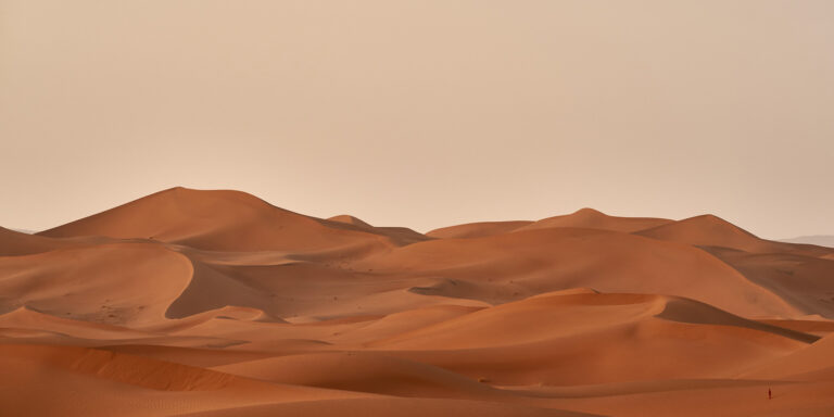 The Patience of a Father Devo Image