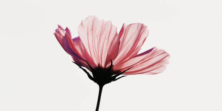 Vulner-able Devo Image