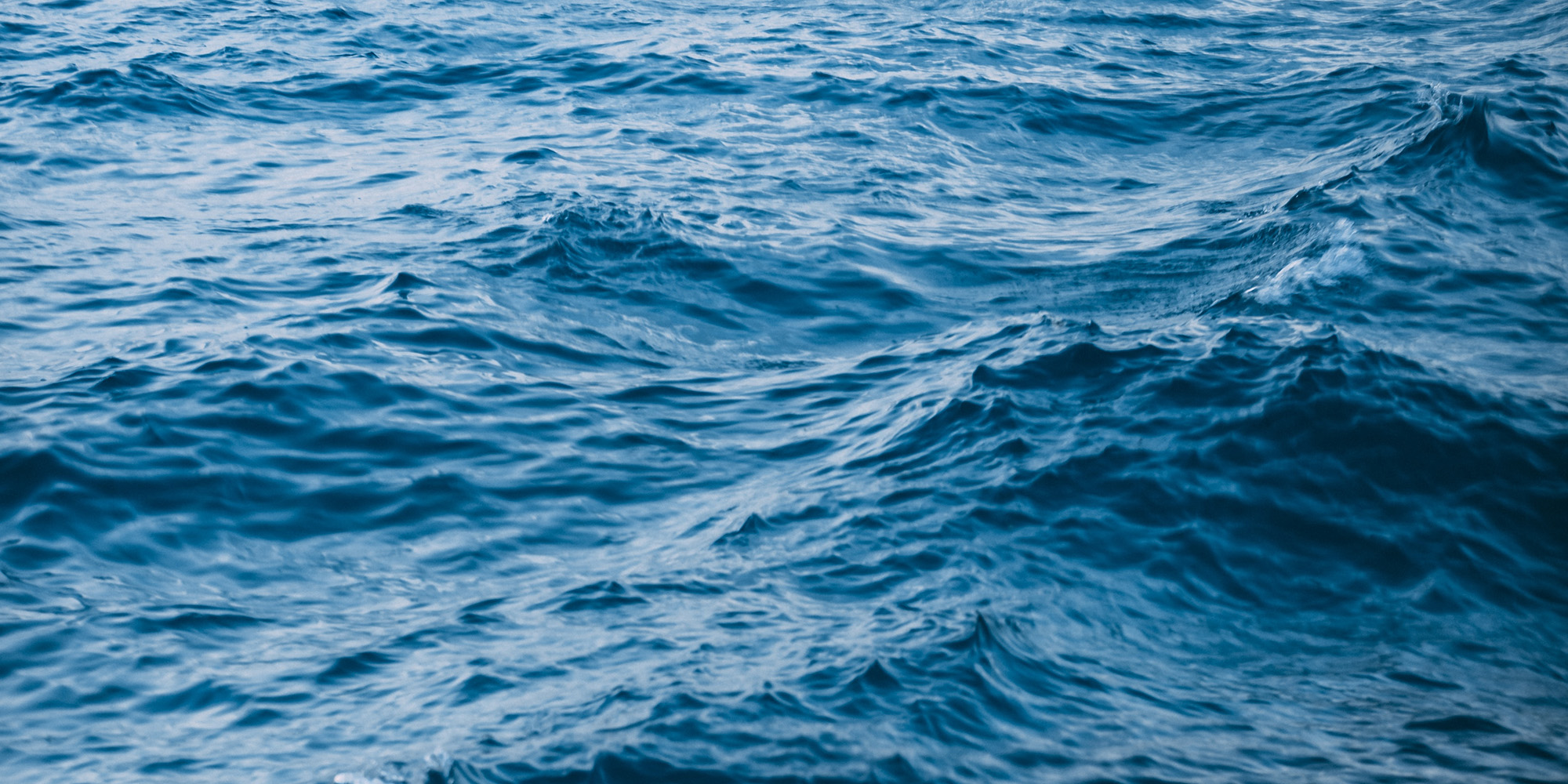 The Sea Between Me and Freedom Devo Image