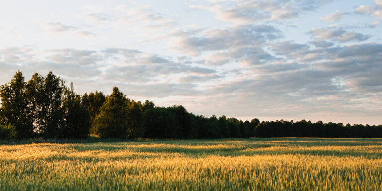 Give it a Rest Devo Image