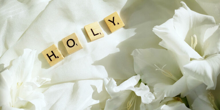 Holy and Pure Devo Image