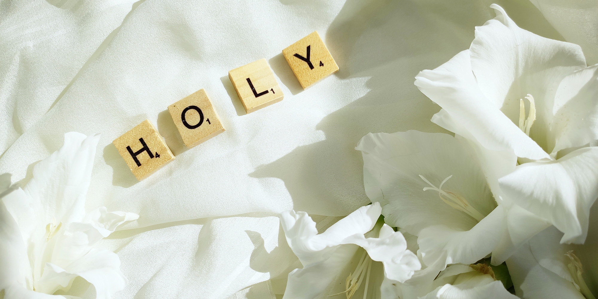 Holy and Pure Devo Image