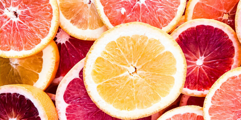 Enjoying the Fruit of Mentorship Devo Image