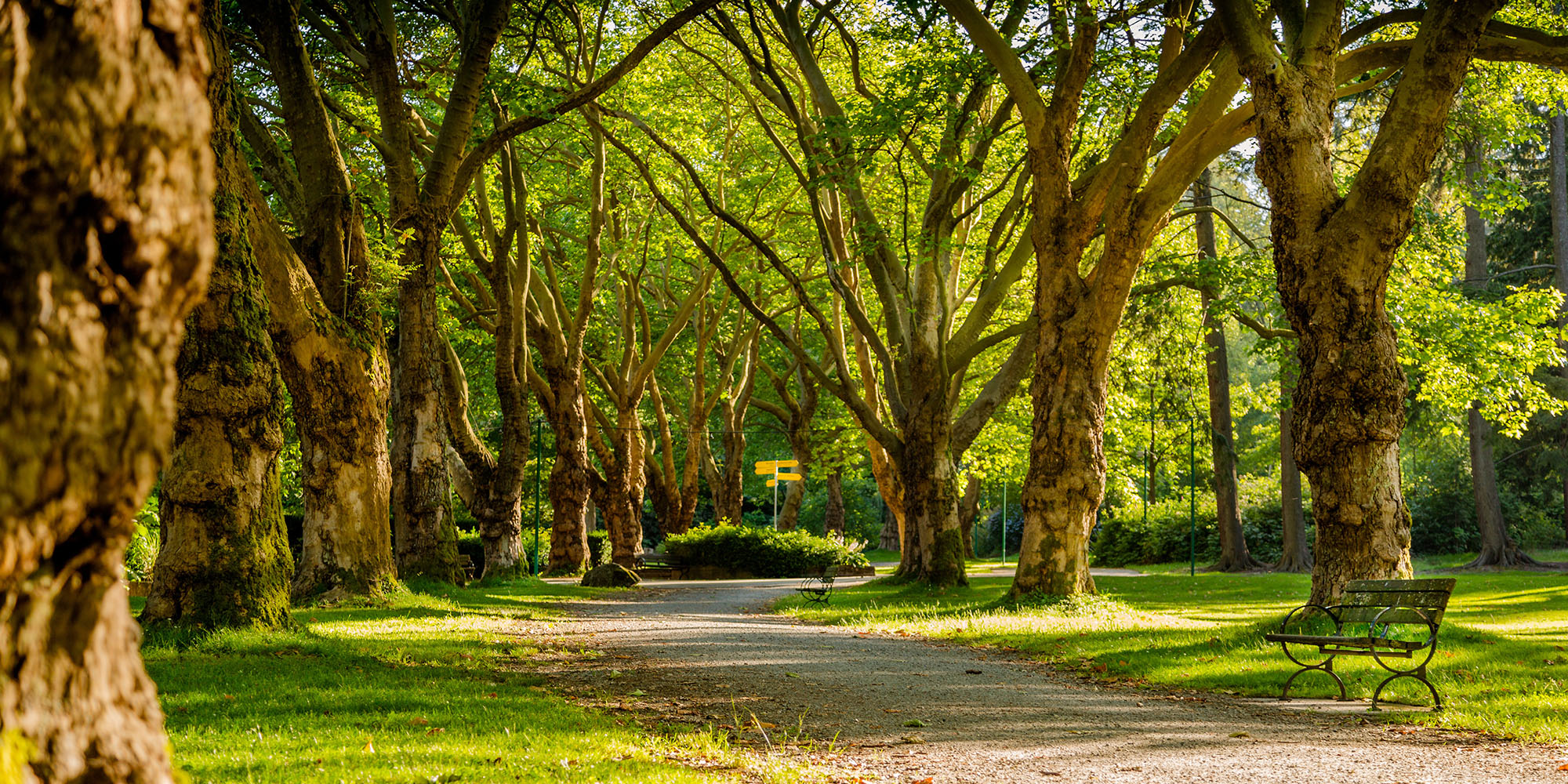 The Fourth Commandment Devo Image