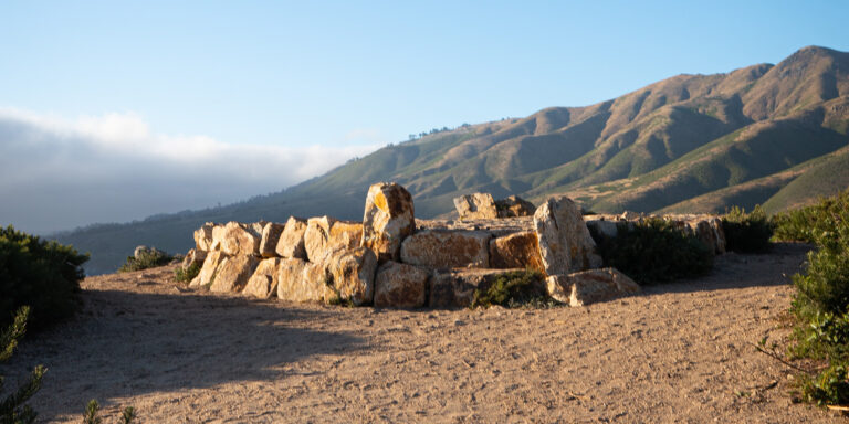 Natural Beauty Devo Image