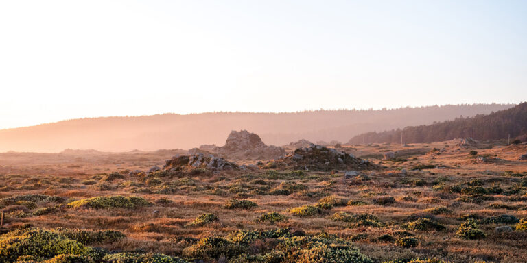 His Word, His Promise to His People Devo Image