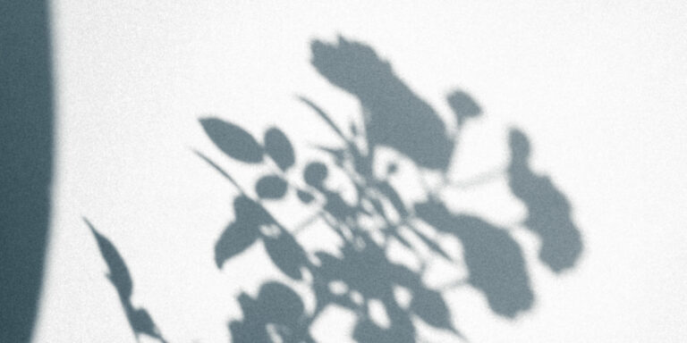 Out From the Shadow Devo Image