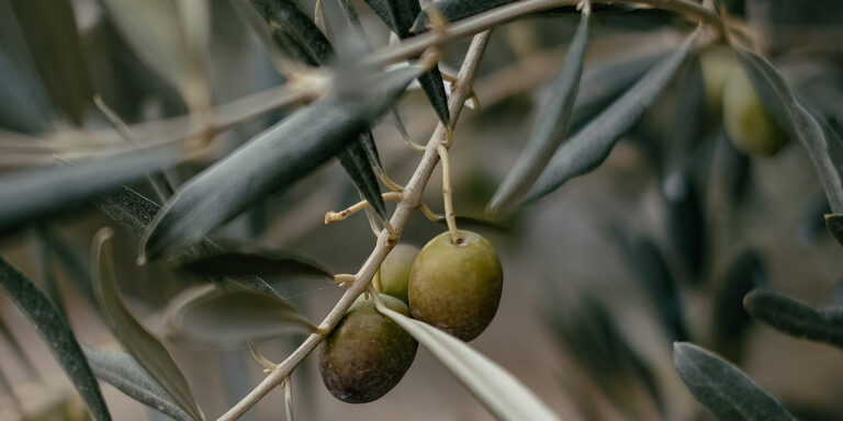 Deep Truth in the Details Devo Image