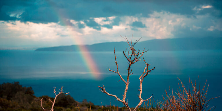 What Does God’s Face Look Like?