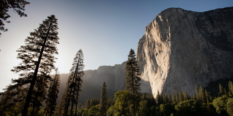 Mercy and Grace Without Measure