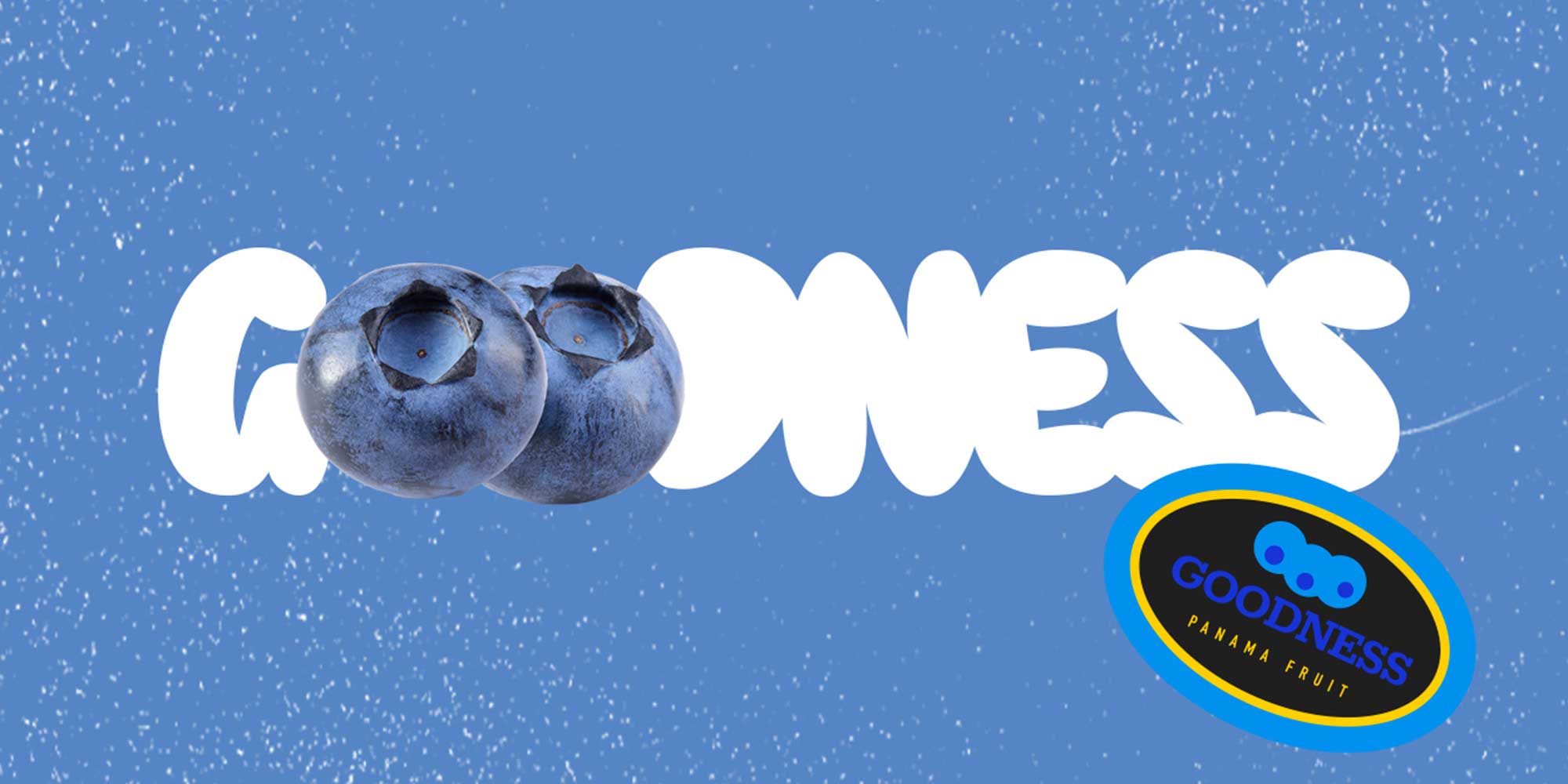 WebHeader_2x1_GOODNESS