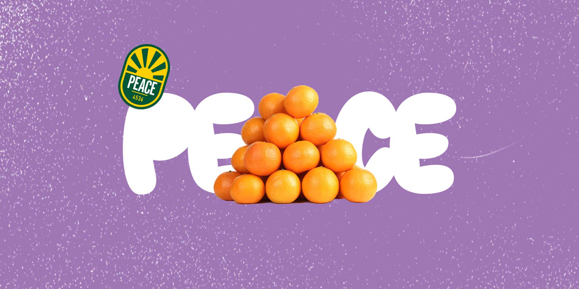 WebHeader_2x1_PEACE