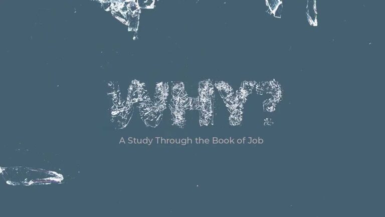 Why? A Study Through Job