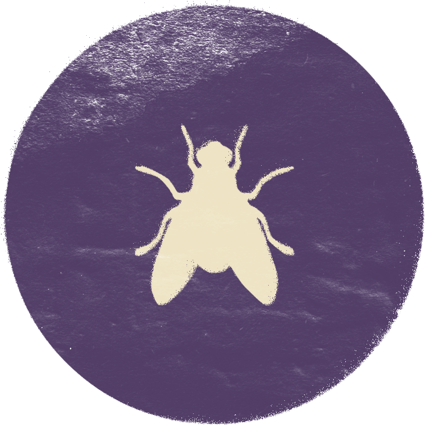 EGYPTIAN GOD(S): Uatchit, the fly god
