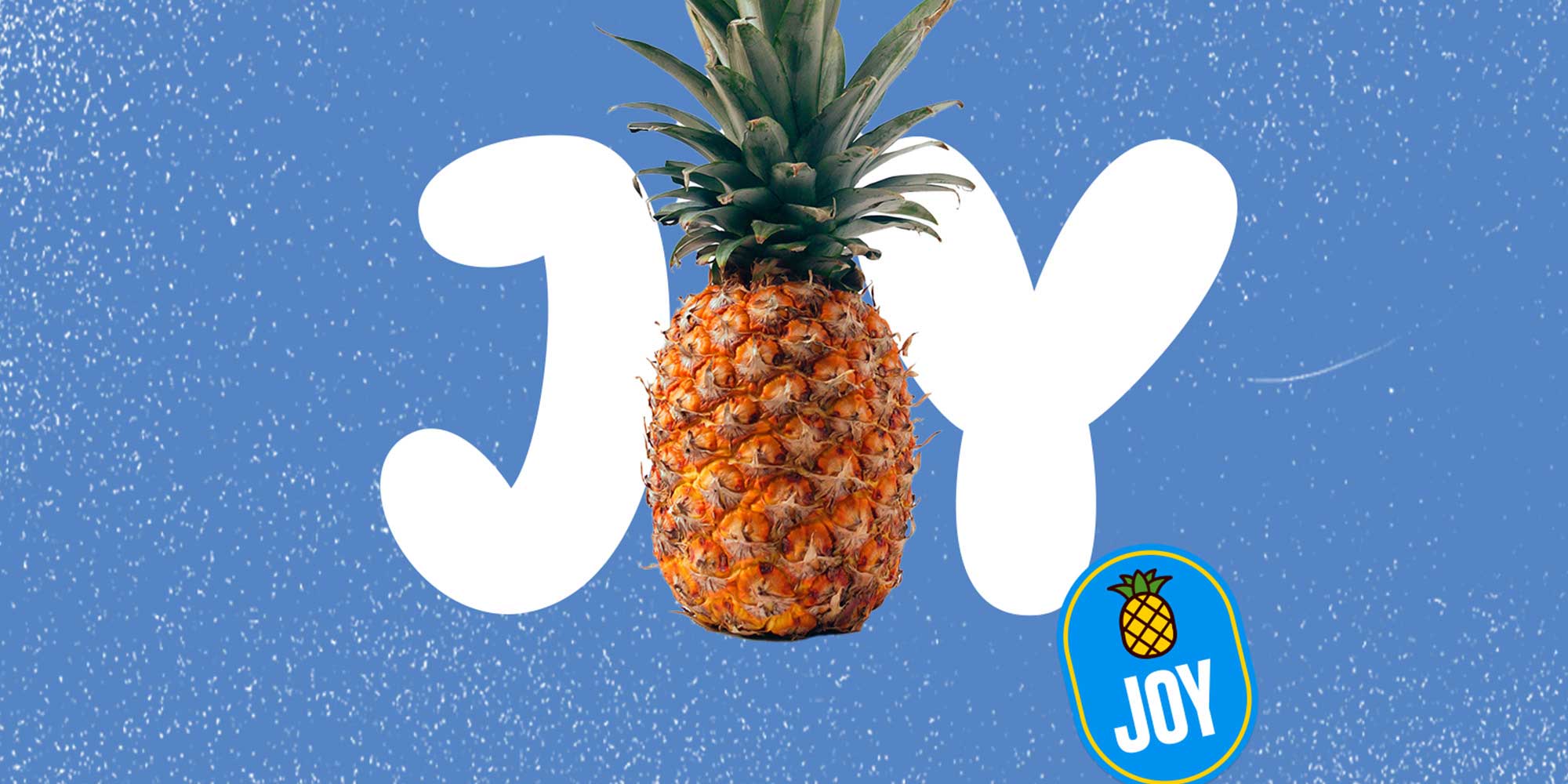 WebHeader_2x1_JOY